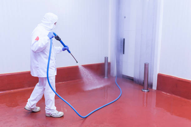 Best Playground Equipment Cleaning  in San Leon, TX